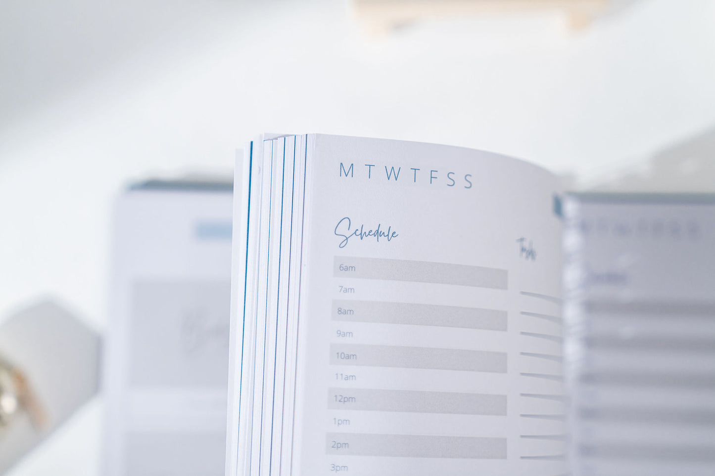 Life's Little Organiser | Undated Journal